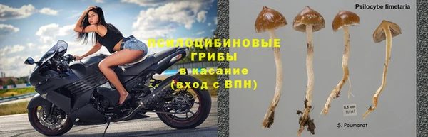 MDMA Богородск