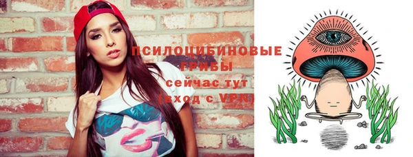 скорость Богданович